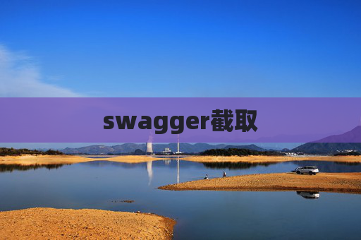 swagger截取